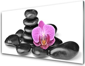 Szkło do Kuchni na Ścianę Układ Kamieni z Akcentem Kwiatowym