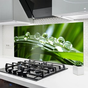 Panel Szklany do Kuchni Krople Rosy na Źdźbłach