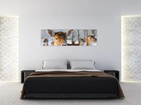 Obraz - Jelonki (170x50 cm)