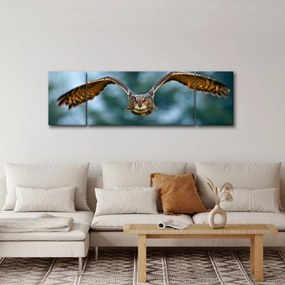 Obraz - Sowa w locie (170x50 cm)