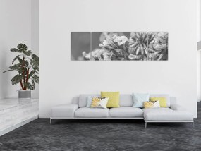 Obraz - Suszone kwiaty (170x50 cm)