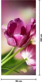 Fototapeta na drzwi - Różowe tulipany (95x205cm)