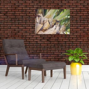 Obraz wiewiórki na drzewie (70x50 cm)