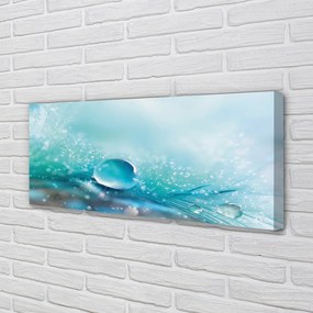 Obraz drukowany na płótnie Abstrakcyjna Kropla Makro