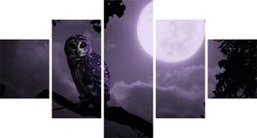 Obraz - Nocna sowa, fioletowy (125x70 cm)