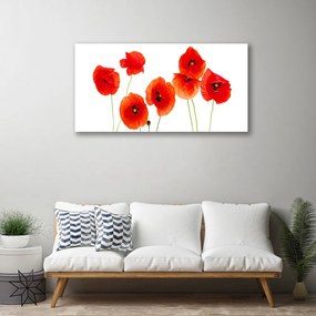 Obraz Canvas Maki Roślina Natura