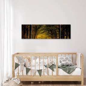 Obraz lasu (170x50 cm)