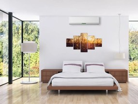 Obraz pola o zachodzie słońca (125x70 cm)