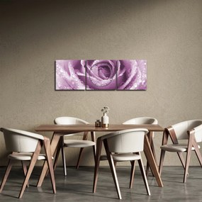 Obraz szczegółu kwiatu róży (z zegarem) (90x30 cm)