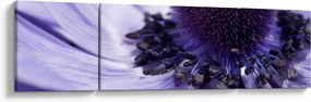 Obraz - Fioletowy kwiat (170x50 cm)