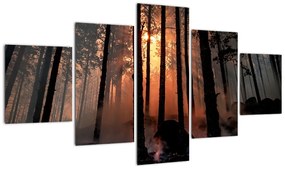 Obraz ciemnego lasu (125x70 cm)