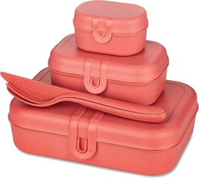 Lunchbox PASCAL READY, zestaw 3 pojemników i sztućce, KOZIOL
