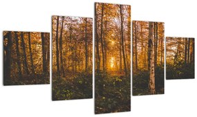 Obraz jesiennego lasu (125x70 cm)
