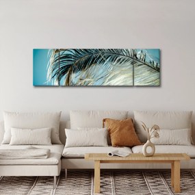 Obraz pióra (170x50 cm)