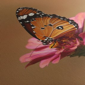 Obraz motyla na kwiatku (170x50 cm)