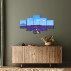 Obraz - Pole lawendy (125x70 cm)