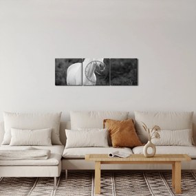Obraz białego konia na łące, czarno - biały (z zegarem) (90x30 cm)