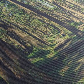 Obraz ścieżki pomiędzy drzewami (z zegarem) (90x30 cm)