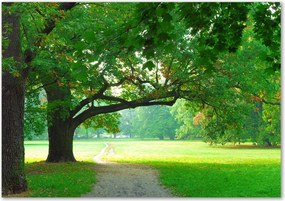 Foto obraz szkło hartowane Park jesienią