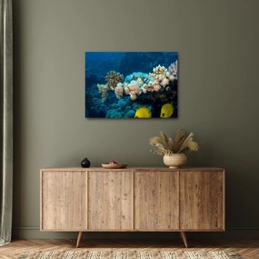Obraz - W oceanie (70x50 cm)