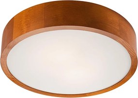 Oprawa sufitowa LED/24W/230V