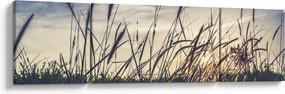 Obraz kwiatów łąkowych (170x50 cm)