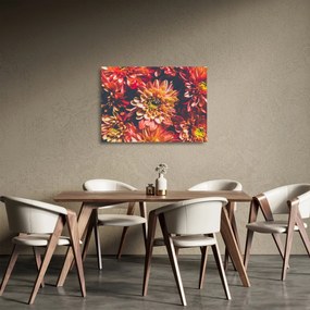 Obraz na szkle - Chryzantemy (70x50 cm)