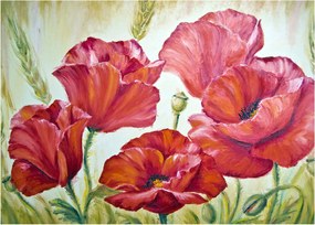 Obraz - Kwiaty maku (70x50 cm)