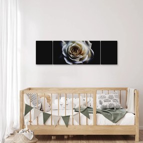Obraz białej róży (170x50 cm)