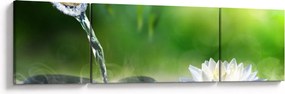 Obraz - Lotos (170x50 cm)
