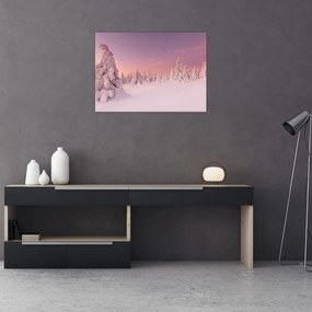 Obraz - Drzewa pod warstwą śniegu (70x50 cm)