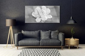 Obraz Akrylowy Kwiaty Roślina