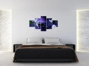 Obraz - Tropikalny kwiat (125x70 cm)