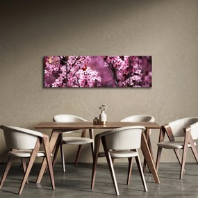 Obraz - Różowa sakura (170x50 cm)