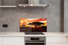 Panel szklany do Kuchni Drzewa pod Wieczornym Niebem