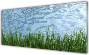 Panel Szklany Świeżość Trawy Nad Brzegiem