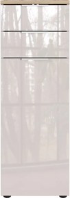 Kremowa wysoka/wąska szafka łazienkowa z połyskiem 39x112 cm Tavira – Germania