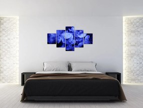 Obraz - Meduzy (125x70 cm)