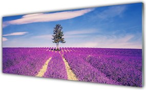 Szkło Ozdobne do Kuchni Lawendowe Pole pod Samotnym Drzewem