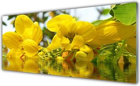 Panel Szklany Świeżość Wiosennej Natury