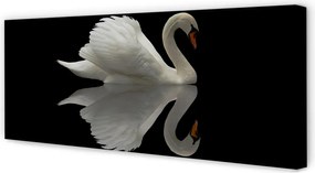 Obraz na płótnie Łabędź w Nocnej Scenerii