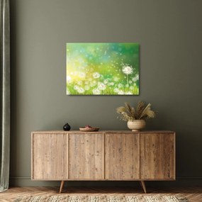 Obraz na szkle - Kwitnące mlecze (70x50 cm)