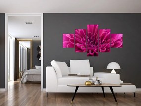 Obraz kwiatu (125x70 cm)
