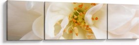 Obraz - Kwiat (170x50 cm)