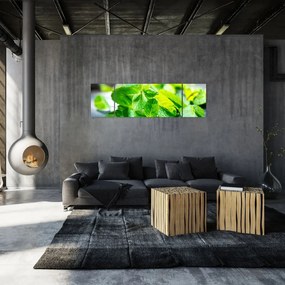 Obraz mięty (170x50 cm)