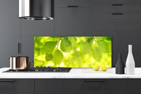 Panel Kuchenny Zielone Liście W Stylu Modern