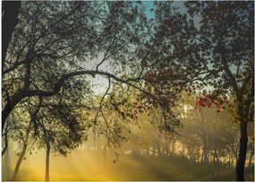 Obraz wschodu słońca (70x50 cm)