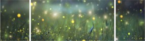 Obraz - Magiczna noc (170x50 cm)
