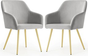Zestaw 2 szarych krzeseł welurowych - Terviso 3X