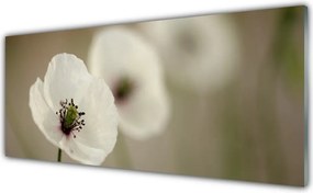 Panel Szklany do Kuchni Delikatny Pąk w Rozkwicie